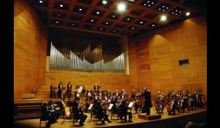 Auditorio Juan Victoria — 3 de 6