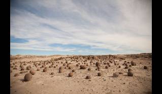 Ischigualasto - Parque triásico — 2 de 8