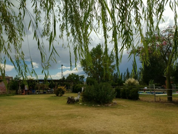 Granja Tía Nora — 4 de 5