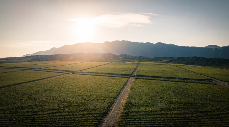 Ruta del Vino — 3 de 17
