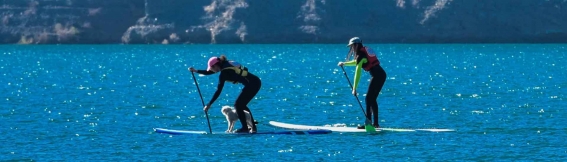 Stand up paddle