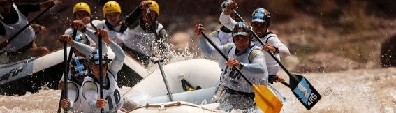 Action in the Land of the Sun